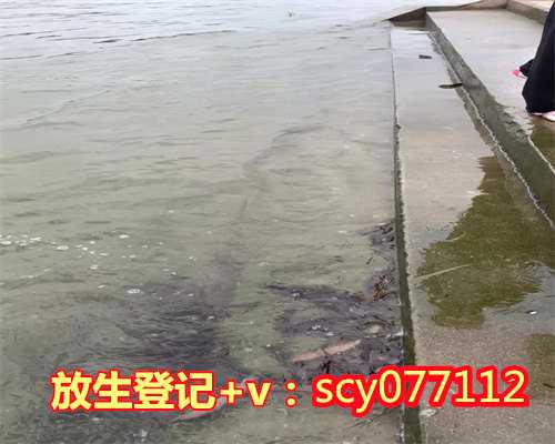 四川放生的鱼从哪里买到，四川旺苍县的一个石窟