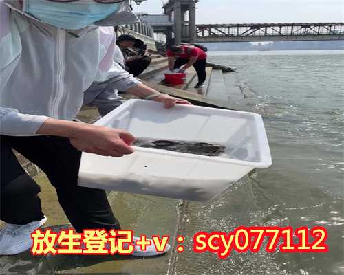 郑州哪里适合放生鳝鱼，郑州哪里算命比较准，周边的也行，有没有？