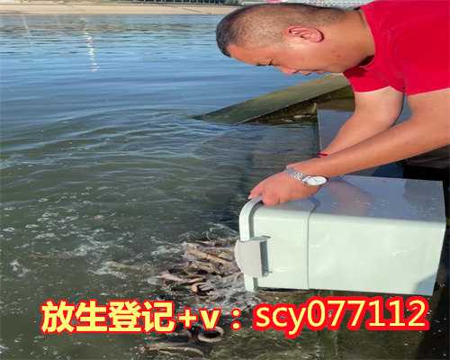 北京放生园放生蚯蚓，北京团体向路人出售放生用鱼泥鳅80元一条