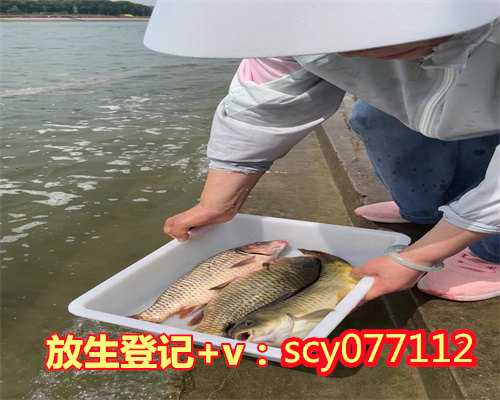 深圳放生的鱼去哪买的，2008年３月１６日深圳龙岗小组放生通知